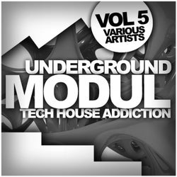 Underground Modul, Vol. 4: Tech House Addiction