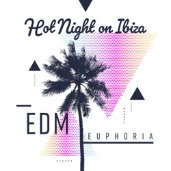 Hot Night on Ibiza: EDM Euphoria