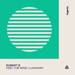 Feel The Wind / Luminary - Extended Mixes