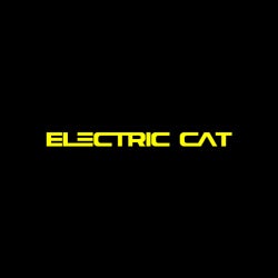 ELECTRIC CAT - MIAMI WMC 2014 - MARCH TOP 10