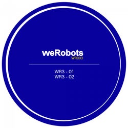 WeRobots 003