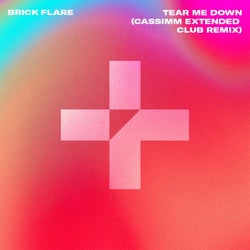 Tear Me Down (CASSIMM Extended Club Remix)