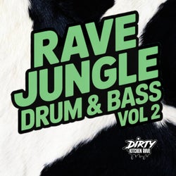 RAVE / JUNGLE / D&B, Vol. 2
