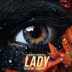 Lady (Hear Me Tonight)