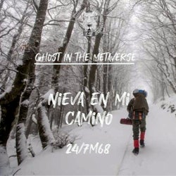 Nieva En Mi Camino