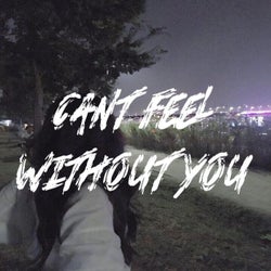 Can't Feel Without You