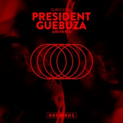 President Guebuza