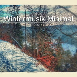 Wintermusik Minimal, Vol. 3