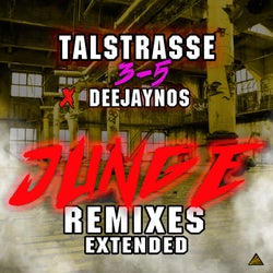 Junge (Remixes Extended)