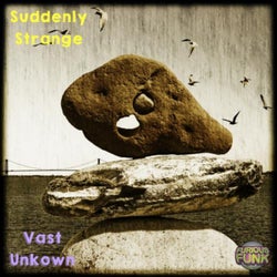 Vast Unkwown