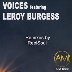 Voices: ReelSoul Remixes