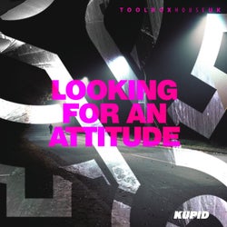 Looking For An Attitude