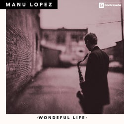 Wonderful Life