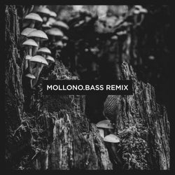 The Orb (Mollono.Bass Remix)