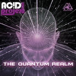 The Quantum Realm