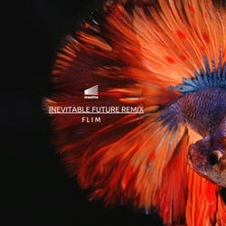 Inevitable Future Remix EP