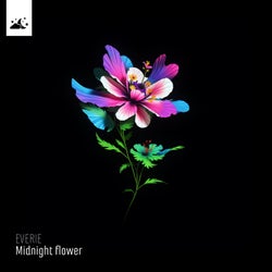 Midnight Flower