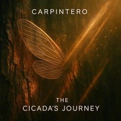 The Cicada's Journey