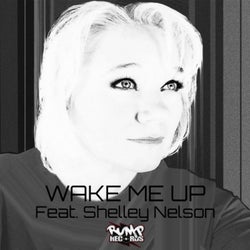 Wake Me up feat. Shelley Nelson