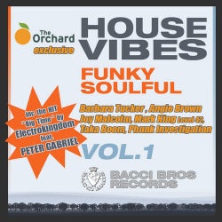 House Vibes Funky Soulful Volume 1