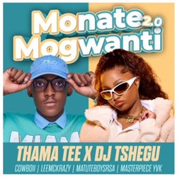 Monate mogwanti 2.0 (feat. CowBoii, LeeMcKrazy, Matuteboyrsa & Masterpiece YVK)