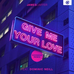 Give Me Your Love (Diviners Remix)