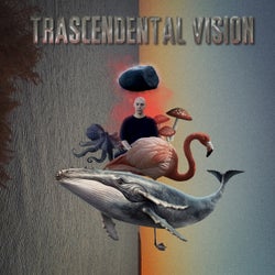 TRASCENDENTAL VISION