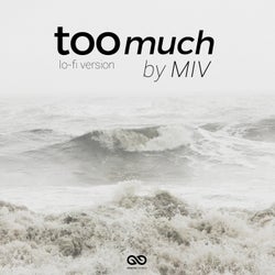 Too Much (Lo-Fi Sessions)