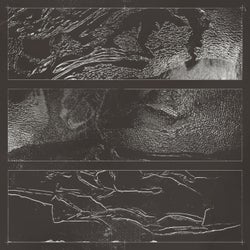 Blue Hour presents TERRA