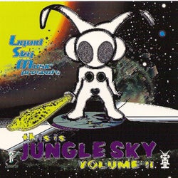 This Is Jungle Sky, Vol. 2