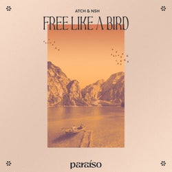 Free Like A Bird