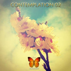 Contemplation 02