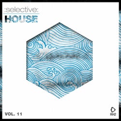 Selective: House Vol. 11