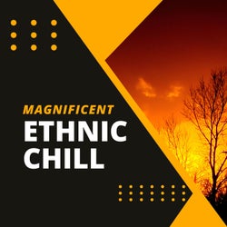 Magnificent Ethnic Chill