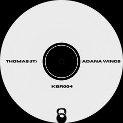 Adana Wings