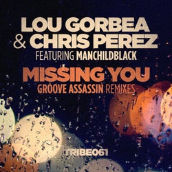Missing You (feat. Manchildblack) [Groove Assassin Remixes]