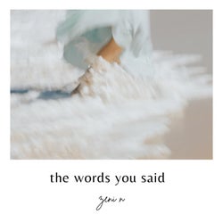 the words you said