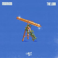 The Look