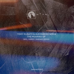 The Meaning EP (incl. Harry Jimenez Remix)