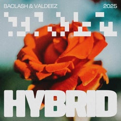 Hybrid