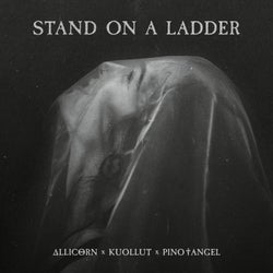 Stand On A Ladder