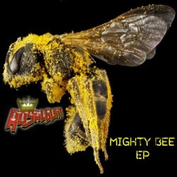 Mighty Bee EP