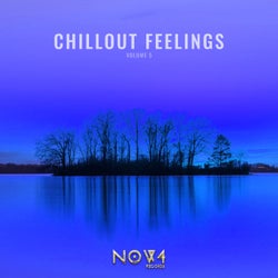 Chillout Feelings, Vol. 5