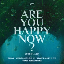 Are You Happy Now (Crazy Donkey Extended Remix)