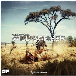 Wild Banger