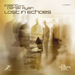 Lost in Echoes