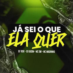 Já Sei O Que Ela Quer