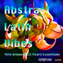 Abstract Latin Vibes (Nite Grooves 25 Years Essentials)