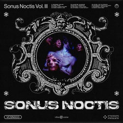 Sonus Noctis / Klang Der Nacht, Vol. 3