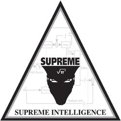 Supreme Intelligence